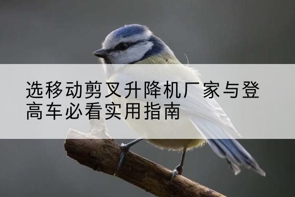 路北电动升降机厂家-选移动剪叉升降机厂家与登高车必看实用指南