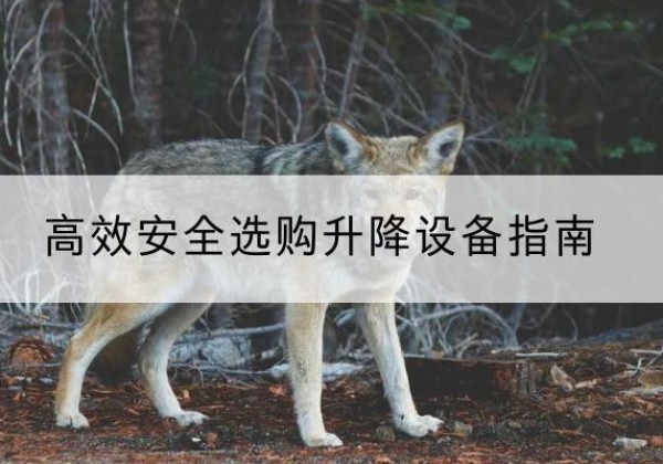 路北升降货梯厂家推荐-*安全选购升降设备指南