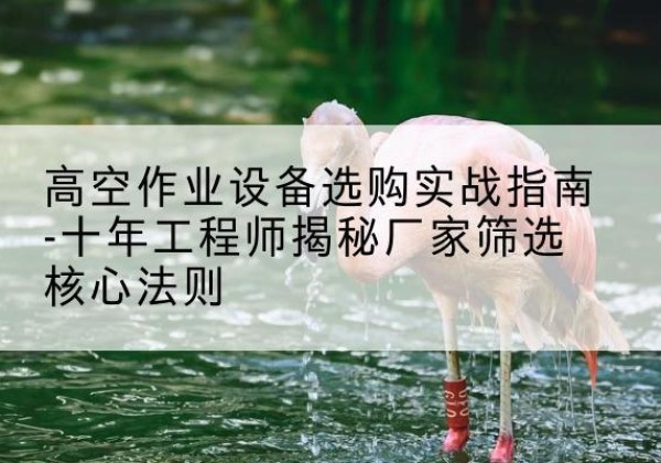路北剪叉式升降机厂家-高空作业设备选购实战指南-十年工程师揭秘厂家筛选核心法则